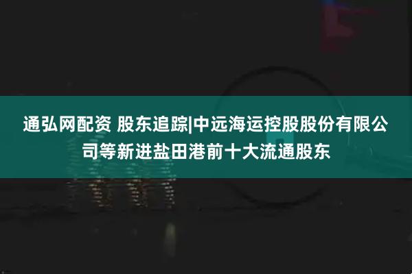 通弘网配资 股东追踪|中远海运控股股份有限公司等新进盐田港前十大流通股东