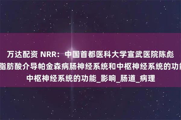 万达配资 NRR：中国首都医科大学宣武医院陈彪教授团队总结短链脂肪酸介导帕金森病肠神经系统和中枢神经系统的功能_影响_肠道_病理